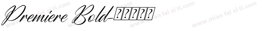 Premiere Bold字体转换